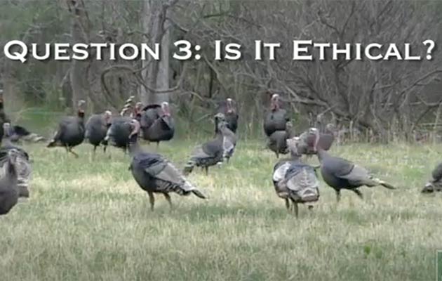 Hunting Ethics video