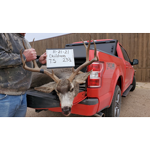 Mule deer buck harvested in Childress County
