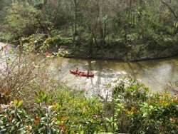 Buffalo Bayou 4 Marina