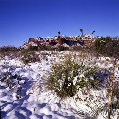 Caprock_Canyons_108.jpg