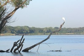 Lake Arlington Paddling Trail - Scenic