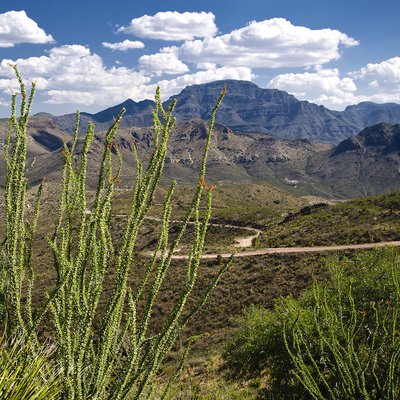 Pinto Canyon_3800x800_72.jpg