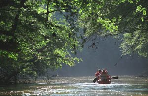 River_Canopy