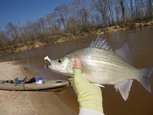 Sabine Sandbar Paddling Trail - fishing