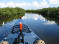 Lighthouse Lakes Paddling Trail View from Kayak