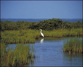 Mustang Island Paddling Trail 2