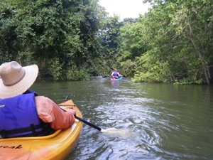 paddlers2