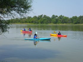 paddlers3