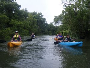 paddlers