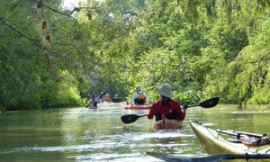 Seadrift Paddlers